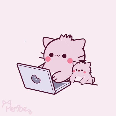 cat intensely coding